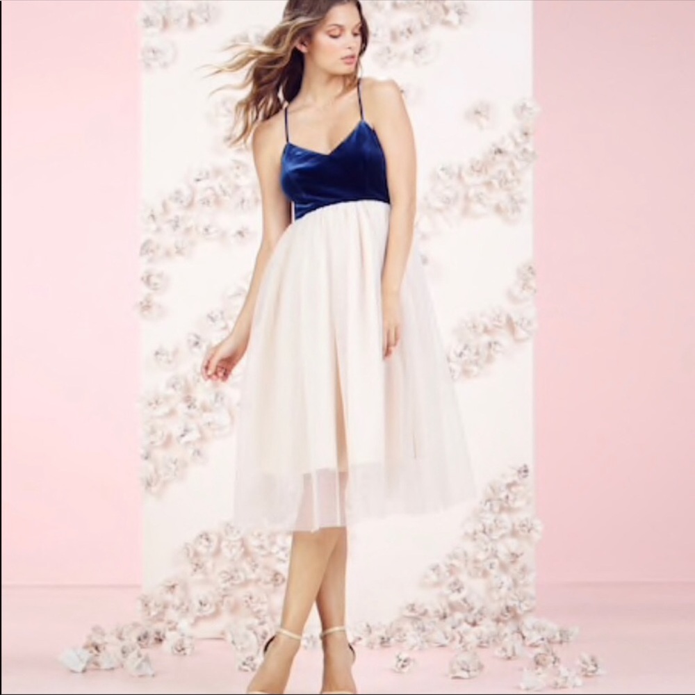 LC Lauren Conrad Runway Blue Velvet and Light Peach Tulle Dress